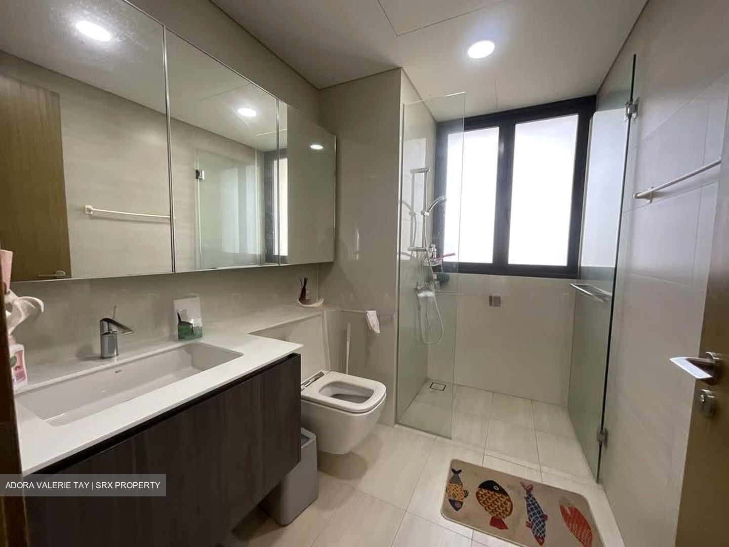 Lakeville (D22), Condominium #569853221